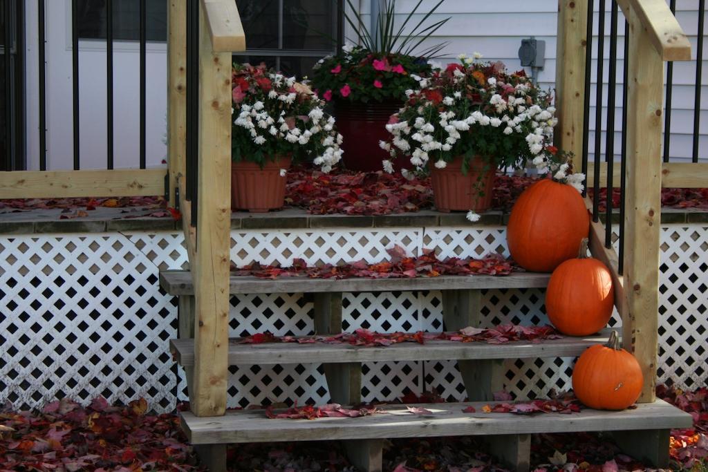 Sandstone Bed And Breakfast New Glasgow Bagian luar foto